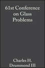 61st Conference on Glass Problems